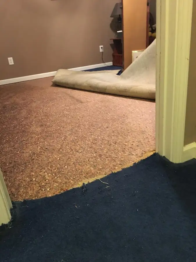 Carpet pad removal revealing water damage during Drying & Dehumidification in Trumbull